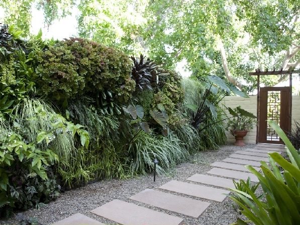 Living Wall, Concrete Paver Walkway
Garden Design
Amelia B. Lima & Associates
San Diego, CA