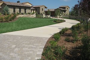Long Driveway, Concrete Driveway
Driveway
Accent Landscapes
Colorado Springs, CO