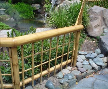 Low Bamboo Fence
Pergola and Patio Cover
Maureen Gilmer
Morongo Valley, CA
