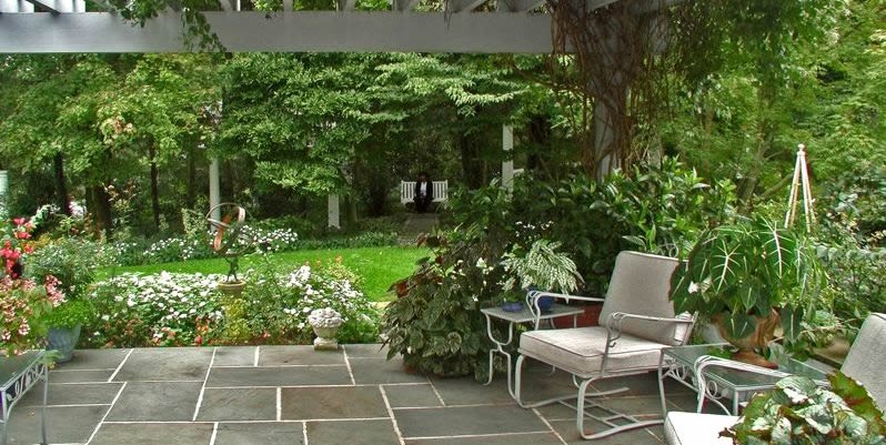 Lush Patio
Wisteria Landscapers
Washington, DC