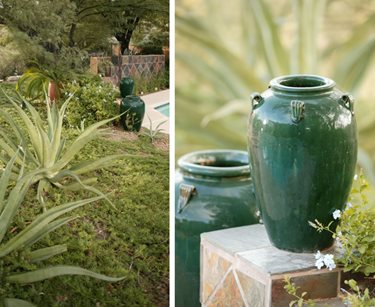 Lush Xeriscape, Green Pottery
Boxhill Landscape Design
Tucson, AZ