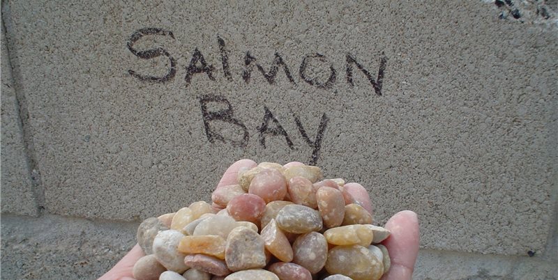 Maureen Gilmer
Morongo Valley, CA