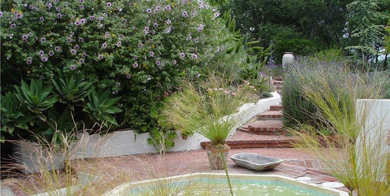 Maureen Gilmer
Morongo Valley, CA