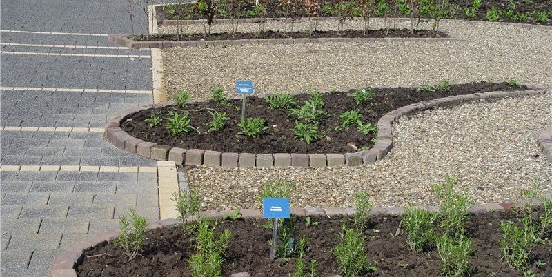 Maureen Gilmer
Morongo Valley, CA