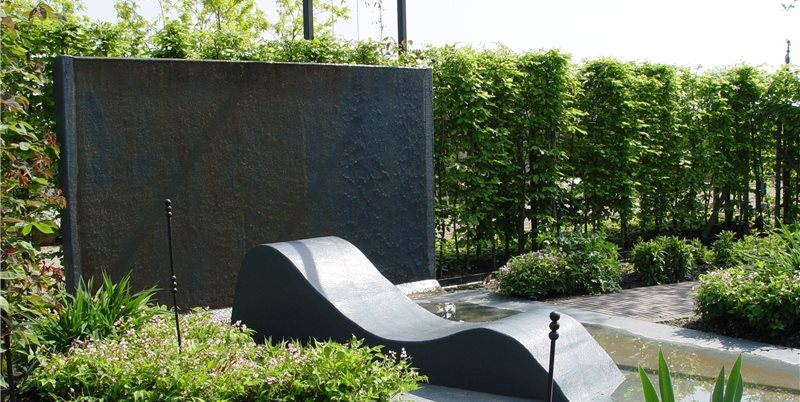 Maureen Gilmer
Morongo Valley, CA