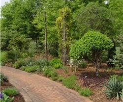 Outdoor Kitchen
Maureen Gilmer
Morongo Valley, CA