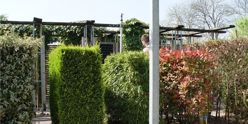 Maureen Gilmer
Morongo Valley, CA