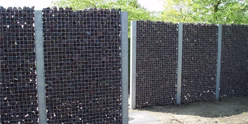 Maureen Gilmer
Morongo Valley, CA