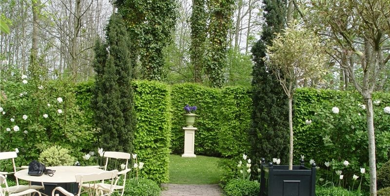 Maureen Gilmer
Morongo Valley, CA