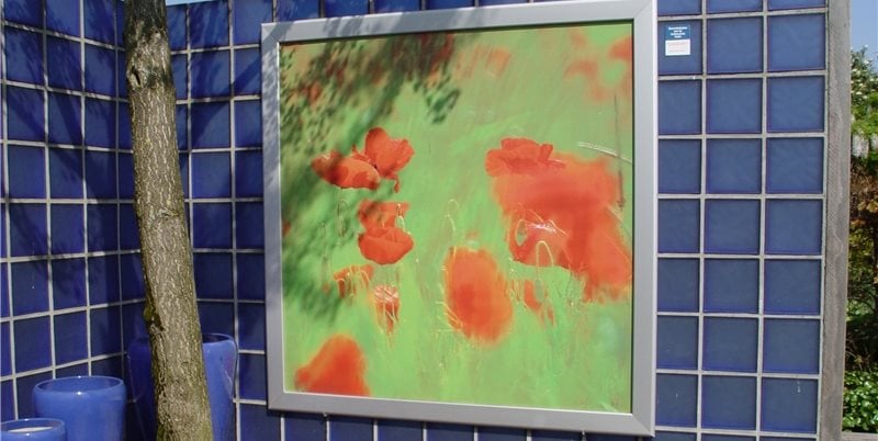 Maureen Gilmer
Morongo Valley, CA