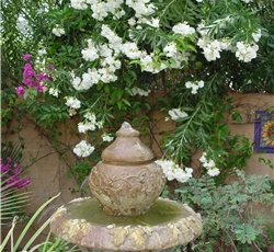 Maureen Gilmer
Morongo Valley, CA