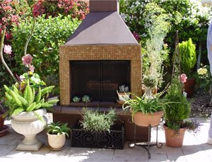 Maureen Gilmer
Morongo Valley, CA