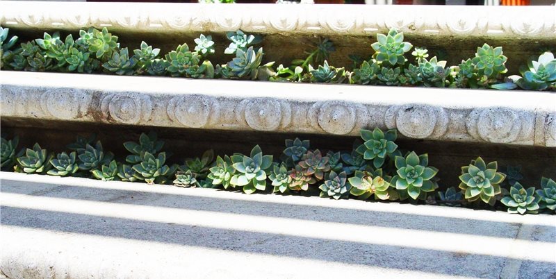 Maureen Gilmer
Morongo Valley, CA