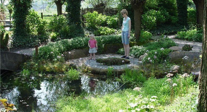 Walkway and Path
Maureen Gilmer
Morongo Valley, CA