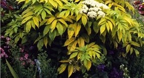 Maureen Gilmer
Morongo Valley, CA