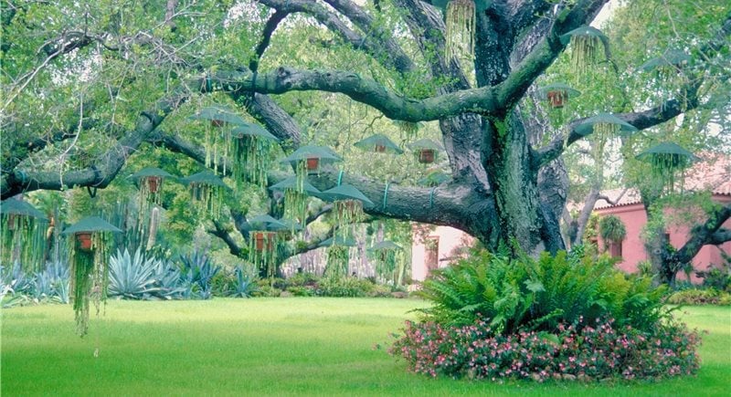 Maureen Gilmer
Morongo Valley, CA