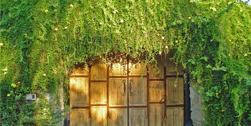 Maureen Gilmer
Morongo Valley, CA