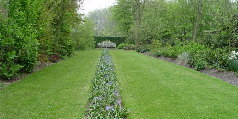 Maureen Gilmer
Morongo Valley, CA