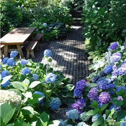 Maureen Gilmer
Morongo Valley, CA