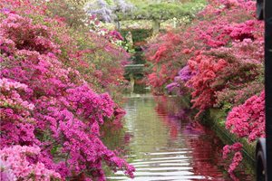Maureen Gilmer
Morongo Valley, CA