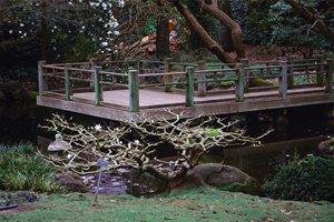 Deck Design
Maureen Gilmer
Morongo Valley, CA