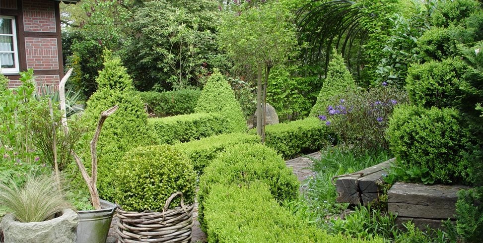 Maureen Gilmer
Morongo Valley, CA
