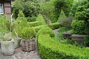 Maureen Gilmer
Morongo Valley, CA