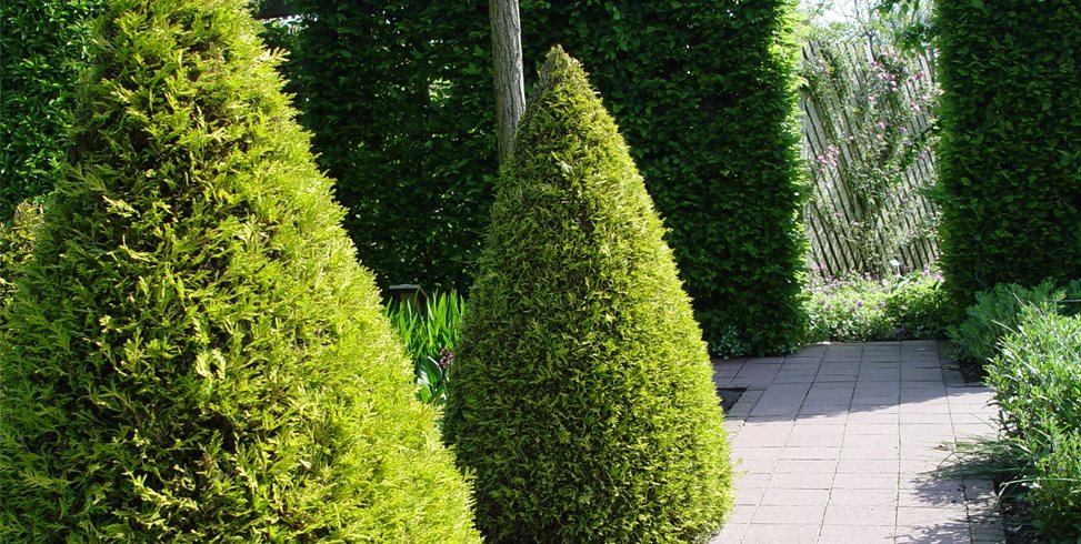 Maureen Gilmer
Morongo Valley, CA