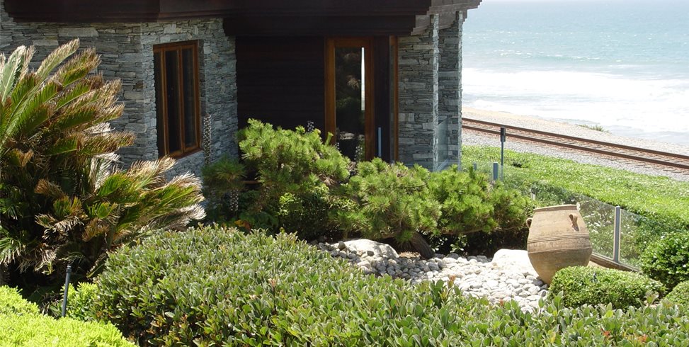 Maureen Gilmer
Morongo Valley, CA