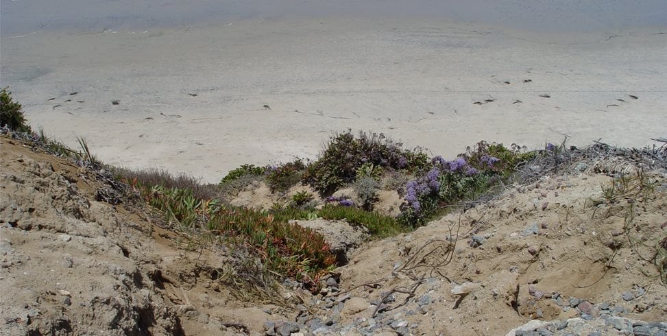 Maureen Gilmer
Morongo Valley, CA
