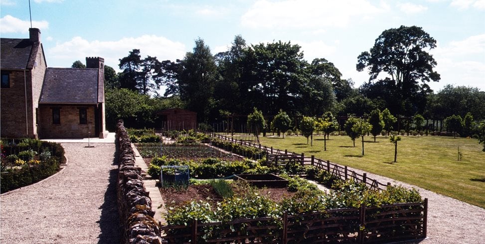 Maureen Gilmer
Morongo Valley, CA