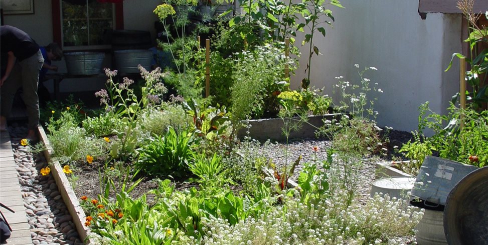 Maureen Gilmer
Morongo Valley, CA