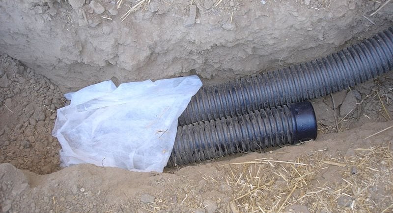 Maureen Gilmer
Morongo Valley, CA