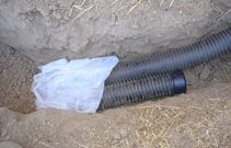 Maureen Gilmer
Morongo Valley, CA