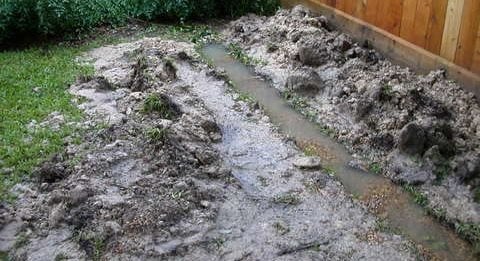 Maureen Gilmer
Morongo Valley, CA