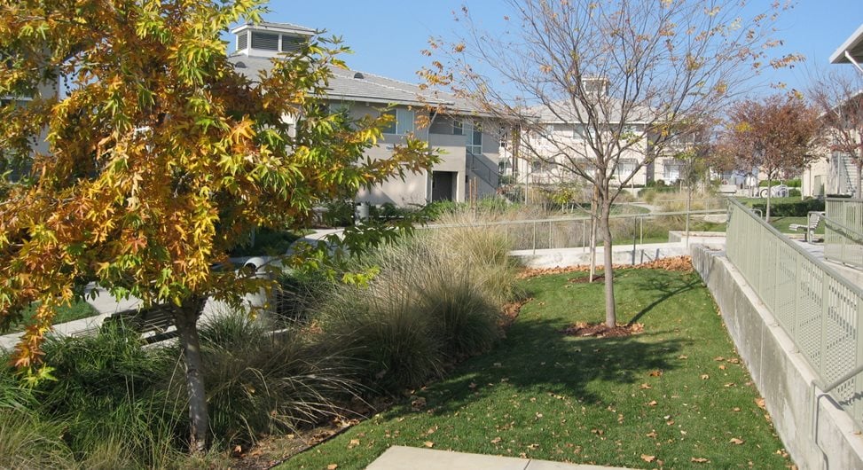 Maureen Gilmer
Morongo Valley, CA