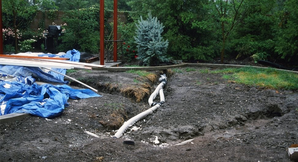 Maureen Gilmer
Morongo Valley, CA