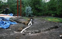 Maureen Gilmer
Morongo Valley, CA