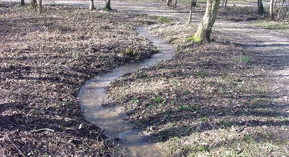 Maureen Gilmer
Morongo Valley, CA