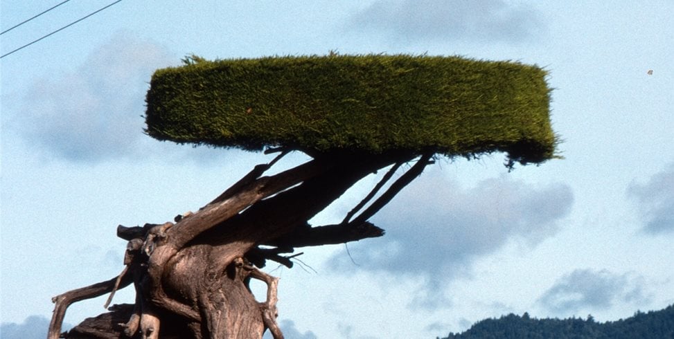 Maureen Gilmer
Morongo Valley, CA