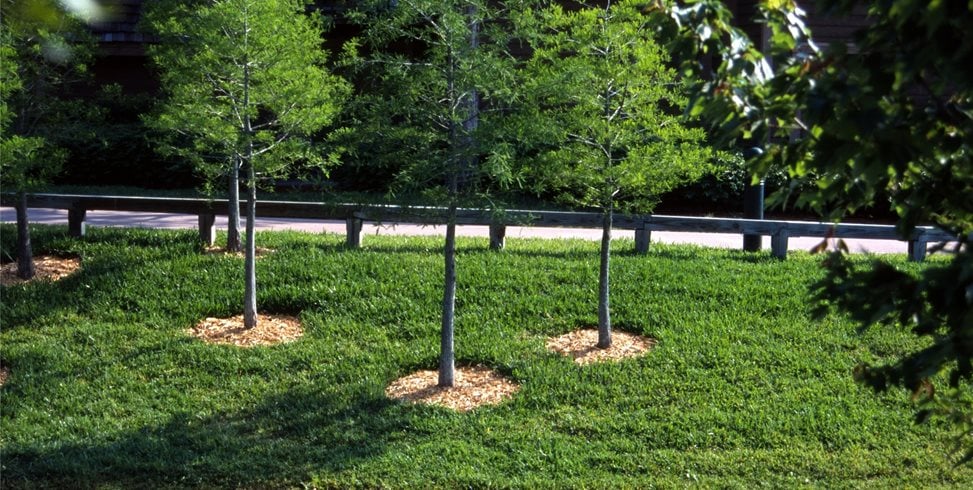 Maureen Gilmer
Morongo Valley, CA