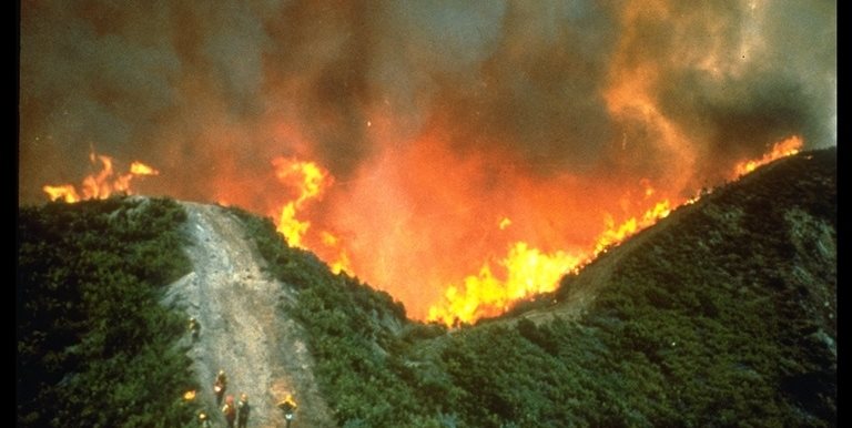 flames racing uphill