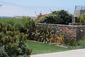 Backyard Landscaping
Maureen Gilmer
Morongo Valley, CA