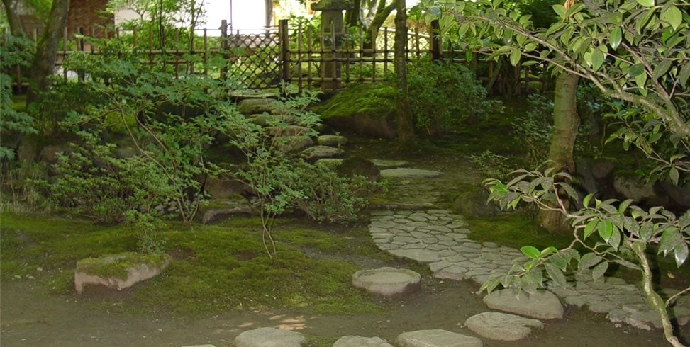 Maureen Gilmer
Morongo Valley, CA