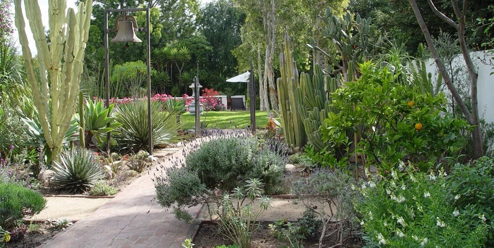 Maureen Gilmer
Morongo Valley, CA