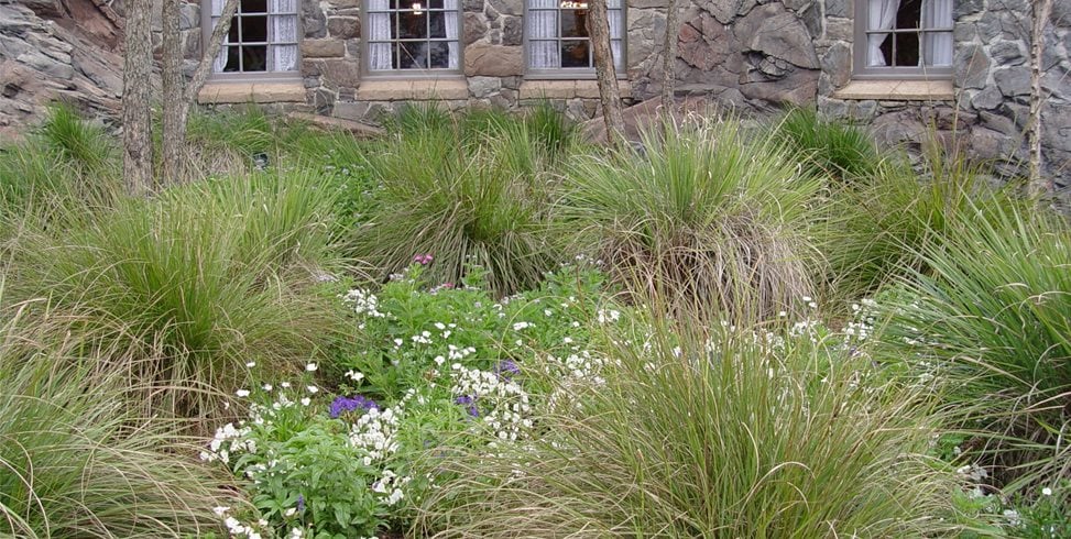 Maureen Gilmer
Morongo Valley, CA