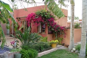 Maureen Gilmer
Morongo Valley, CA