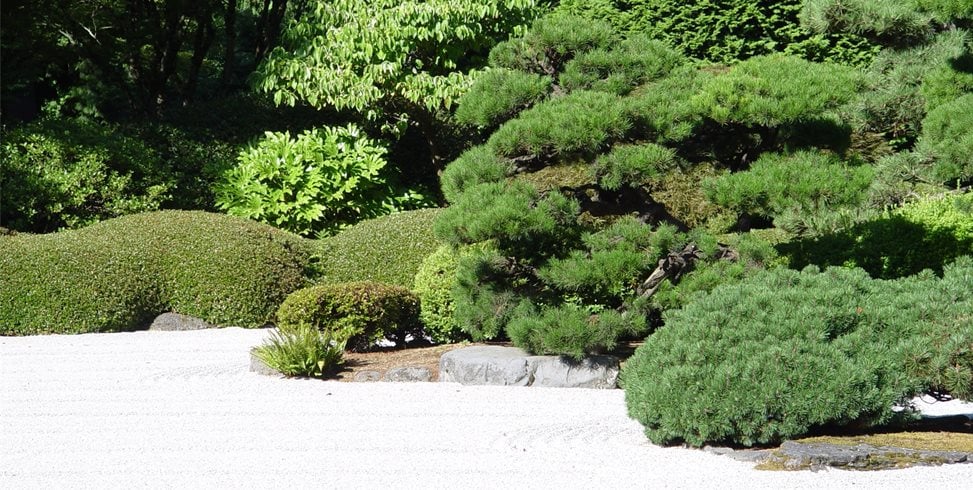 Maureen Gilmer
Morongo Valley, CA