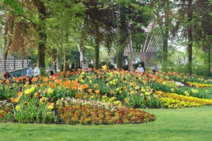 Maureen Gilmer
Morongo Valley, CA