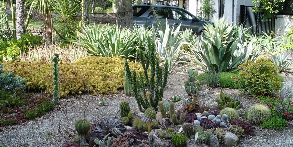 Maureen Gilmer
Morongo Valley, CA